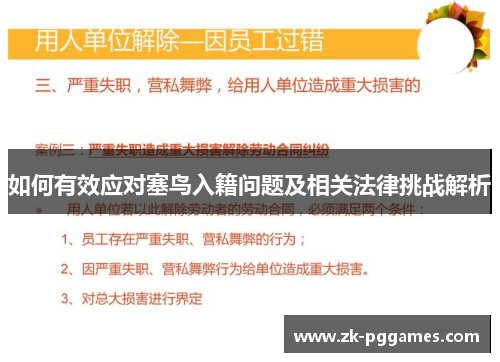 如何有效应对塞鸟入籍问题及相关法律挑战解析