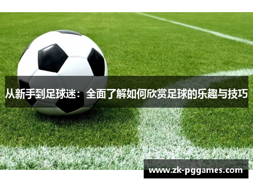 从新手到足球迷：全面了解如何欣赏足球的乐趣与技巧