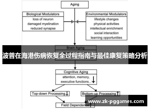 波普在海港伤病恢复全过程指南与最佳康复策略分析